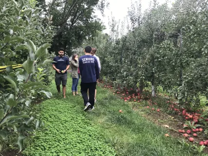 Penn students picking apples at Linvilla Orchard