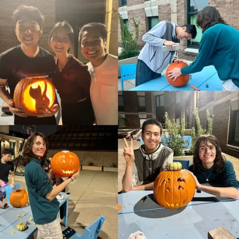 stouffer pumpkins