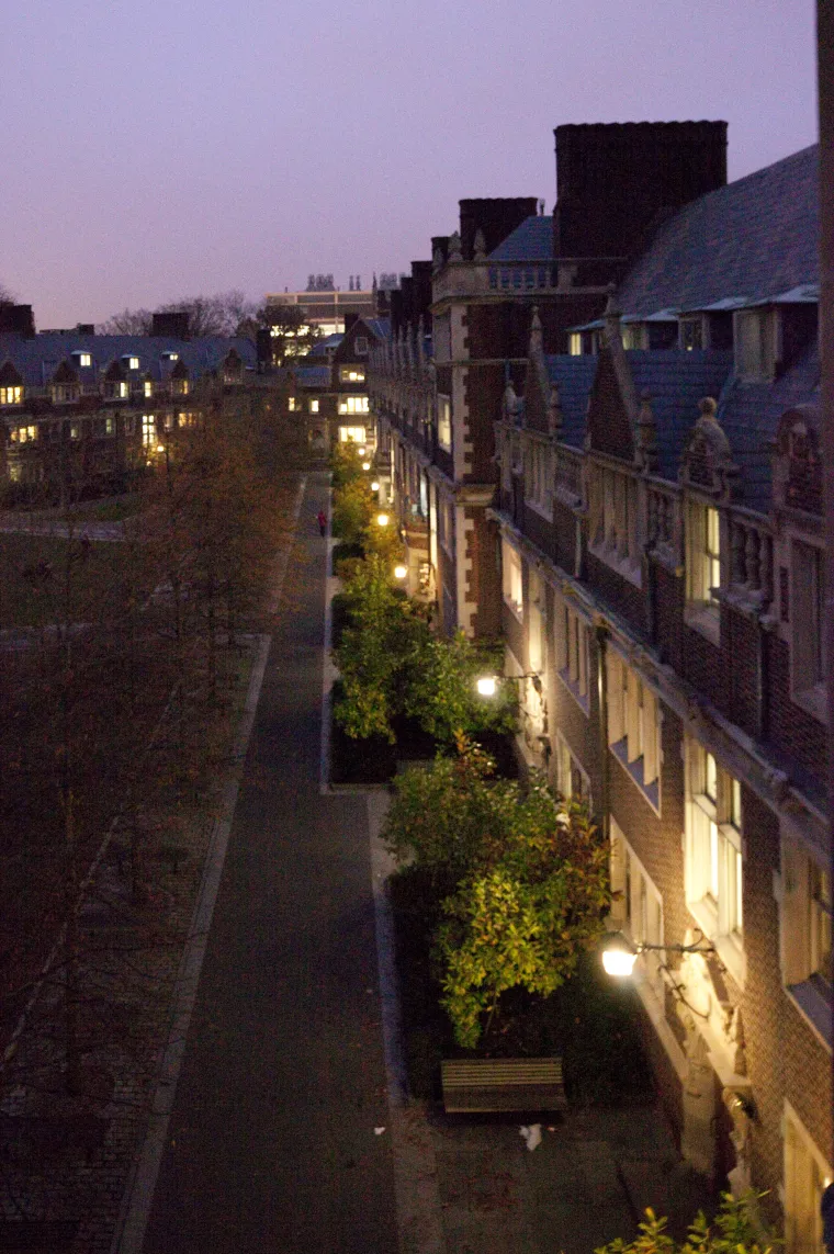 A view of the Quad in late evening, with the lights beginning to come on