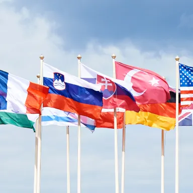 A number of flags of world nations flying on poles